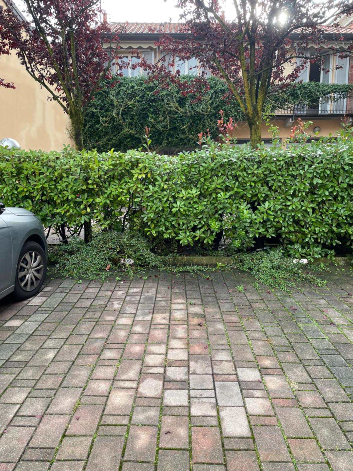 Gelsomino Appartamento Con Posto Auto Nel Centro Di Monza Exterior photo
